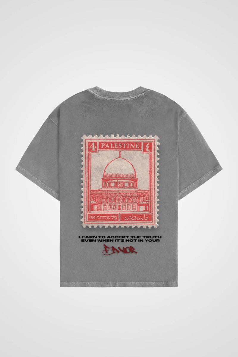 FAVOR - OVERSIZED SHIRT BACKPRINT - Edeltürke