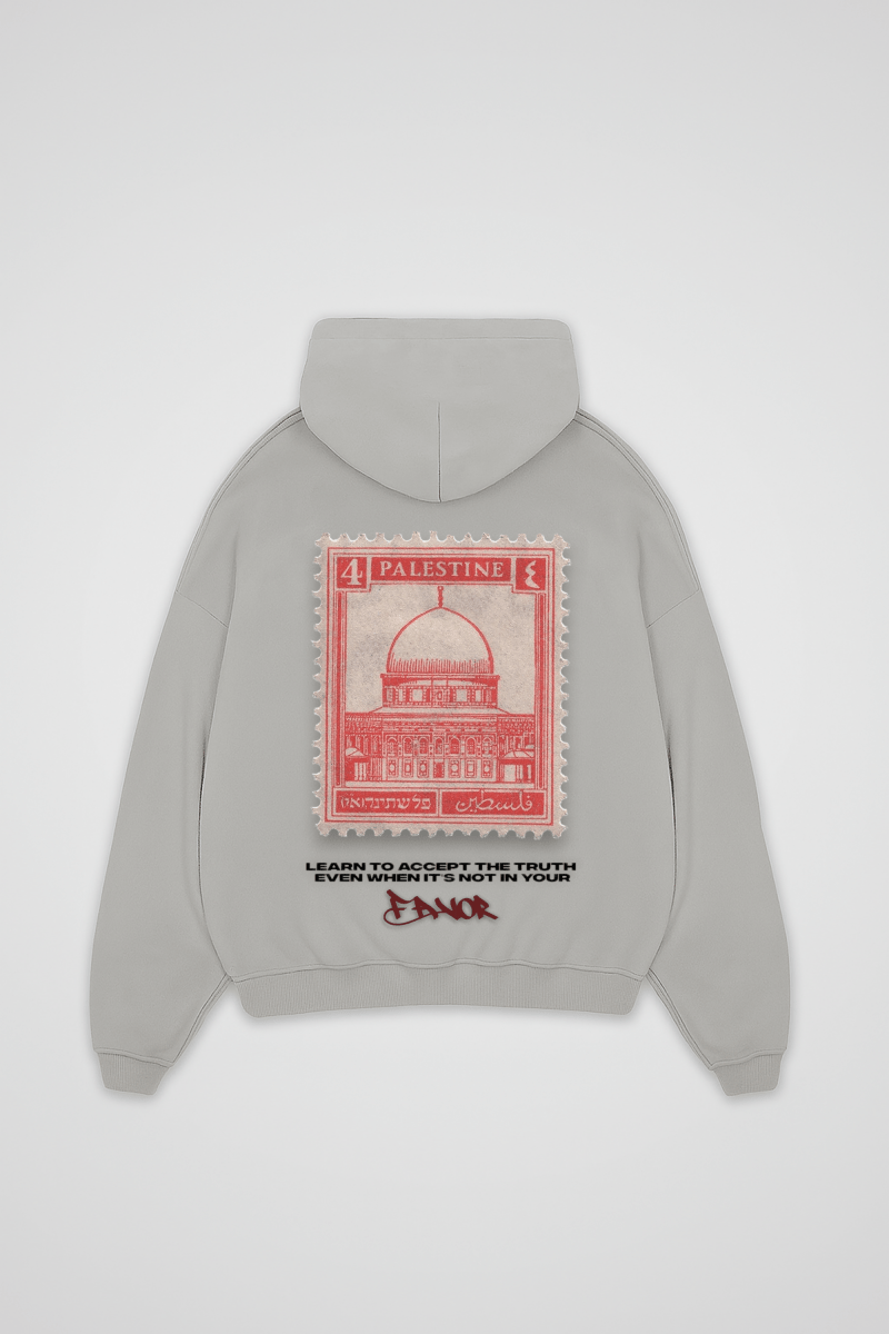 FAVOR - OVERSIZED ZIPPER HOODIE - Edeltürke